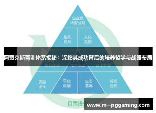 阿贾克斯青训体系揭秘:深挖其成功背后的培养哲学与战略布局 阿贾克斯青训体系揭秘:深挖其成功背后的培养哲学与战略布局