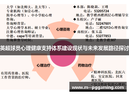 英超球员心理健康支持体系建设现状与未来发展路径探讨 英超球员心理健康支持体系建设现状与未来发展路径探讨