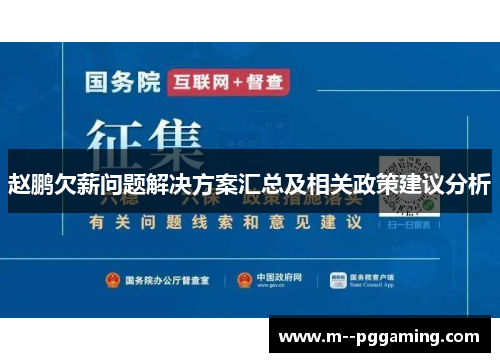 赵鹏欠薪问题解决方案汇总及相关政策建议分析