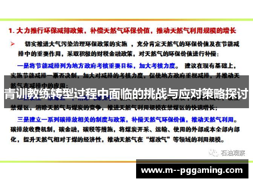 青训教练转型过程中面临的挑战与应对策略探讨