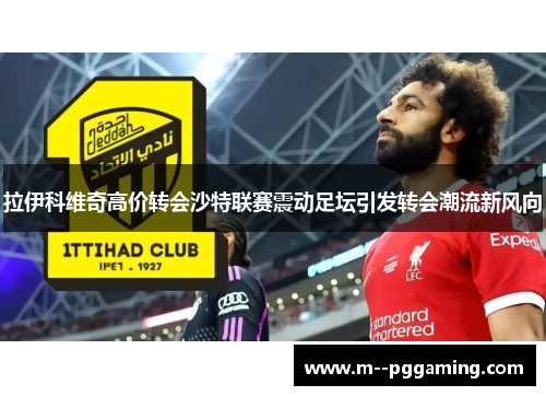 拉伊科维奇高价转会沙特联赛震动足坛引发转会潮流新风向 拉伊科维奇高价转会沙特联赛震动足坛引发转会潮流新风向